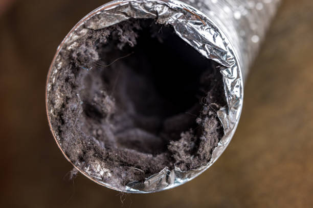 Best Affordable Air Duct Cleaning  in Cedar Creek, TX